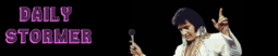 thumbnail of elvis-banner.png