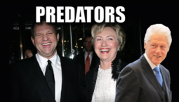 thumbnail of hillary weinstein 4.PNG