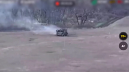 thumbnail of original(2).mp4