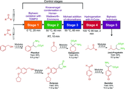 thumbnail of Continuous-flow-synthesis-of-phenibut-gabapentin-pregabalin-rolipram-and-baclofen-A.png