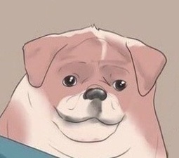 thumbnail of dog.jpg