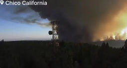 thumbnail of 2024-07-25_Chico_CA_fire whirl.mp4