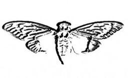 thumbnail of Cicada_3301_logo.jpg
