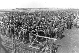 thumbnail of Majdanek6EO5_.jpg
