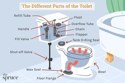 thumbnail of the-parts-of-a-toilet-4145300-V5-491e55af08a9455fac49e313c03d100a.jpg