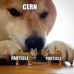 thumbnail of CERN.jpg