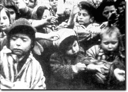 thumbnail of holocaust__not_tattooed children.gif