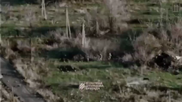 thumbnail of 43354.mp4