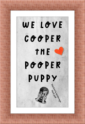 thumbnail of Cooper the Pooper Puppy.jpg
