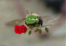 thumbnail of roseB.jpg