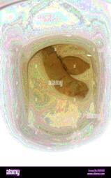 thumbnail of 5r3XHeIj5G0Gnf5.jpg