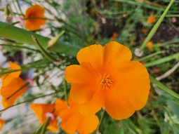 thumbnail of 20250425_120204.jpg