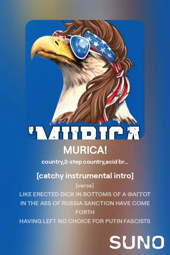 thumbnail of MURICA.mp4