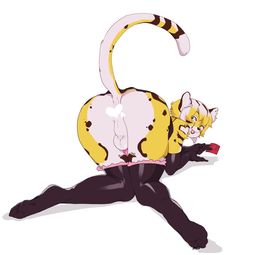 thumbnail of yxyx_1370483783.milkcrown_cheetah_boy_maid.jpg