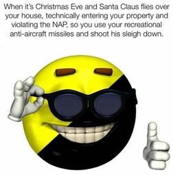 thumbnail of ancap.jpeg