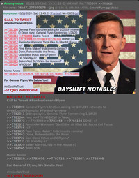 thumbnail of General-Flynn1.jpg