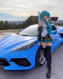 thumbnail of ching chong nip on a corvette.jpg