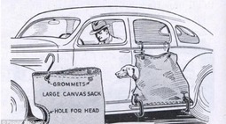 thumbnail of The Dog Sack - 1936.jpg