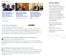 thumbnail of hunter biden still on chinese bard search 04142020.png