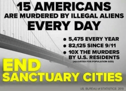 thumbnail of 15-americans-are-murdered-by-illegal-aliens-everyday-5-475-every-21600934.png