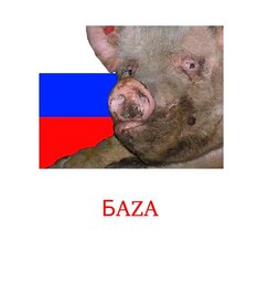 thumbnail of BAZA.jpg