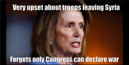 thumbnail of NPelosi only Congress.png