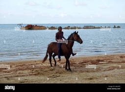 thumbnail of young-aboriginal-man-breaking-in-horse-by-riding-bareback-with-rope-HA22P5-4205563814.jpg