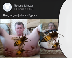 thumbnail of вафлер пчелки.png