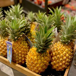 thumbnail of ananas.jpg