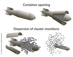 thumbnail of infographie-basm-en.jpg