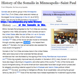 thumbnail of History of Somalis in Minneapolis.png