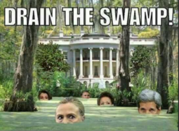 thumbnail of drain the swamp.PNG