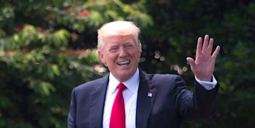 thumbnail of Screenshot_2019-11-01 President Trump Waving at DuckDuckGo(2).png