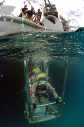 thumbnail of Diving_stage.jpg