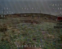 thumbnail of 572752.mp4