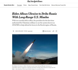 thumbnail of nyt_screen.jpg