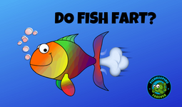 thumbnail of qa01b-fishfart.png