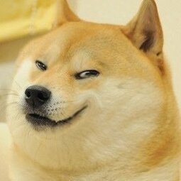 thumbnail of sly chink doge.jpg