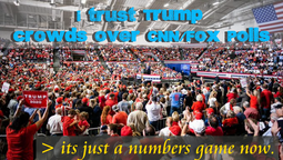 thumbnail of Trust Trump Crowds_2.png