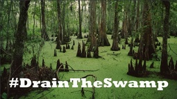 thumbnail of drain-swamp-tag.jpg