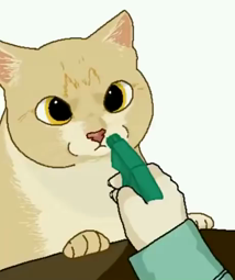 thumbnail of catspray.mp4