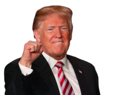 thumbnail of donald-trump-fist-pump-usa-open-for-business-getty-640x480-removebg-preview.png