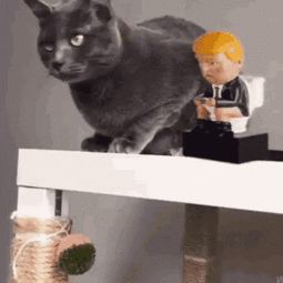 thumbnail of cheers.gif