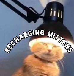 thumbnail of Recharging Mittens.jpg