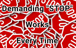 thumbnail of demanding stop works every time.mp4