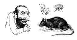 thumbnail of b43nmf.jpg