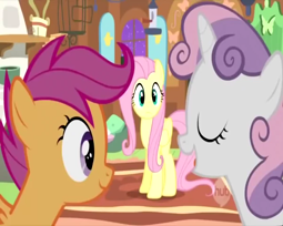 thumbnail of SweetComputerFilly.webm