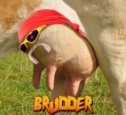 thumbnail of brudder.jpg