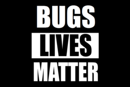 thumbnail of bugs.png