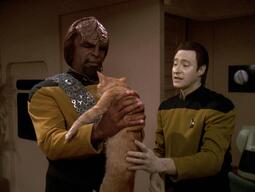 thumbnail of klingons are eating cats.jpg